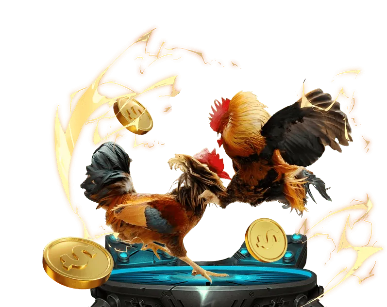 Lợi ích khi chọn 55chat